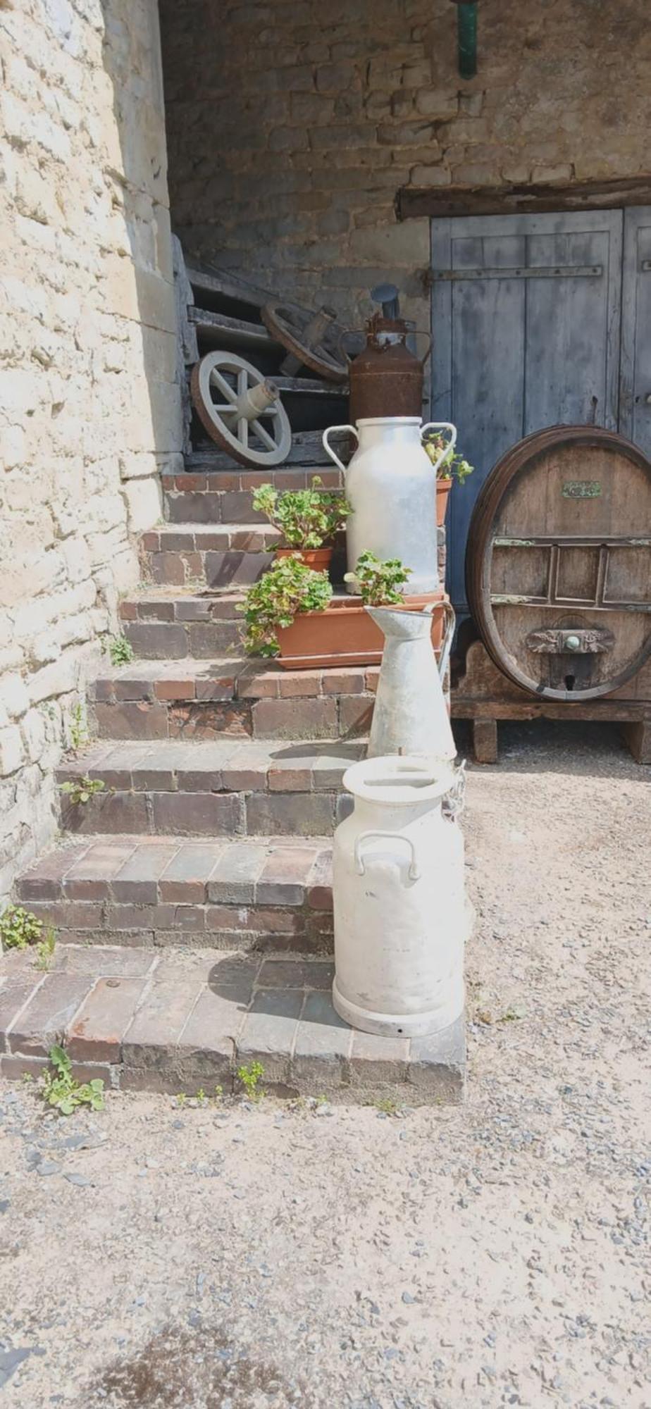 Ferme Aux Leopards Normands Bed & Breakfast Mandeville-en-Bessin Exterior photo